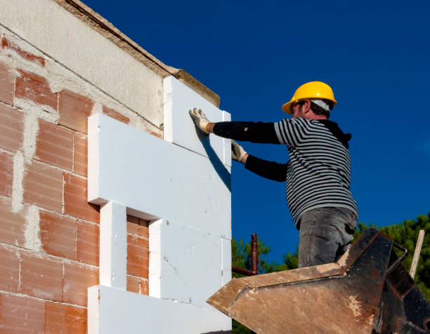 Best Local Insulation Services  in Winnebago, IL