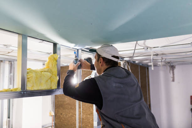 Best Crawl Space Insulation  in Winnebago, IL