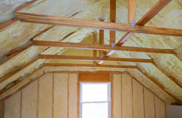 Best Insulation Repair Services  in Winnebago, IL