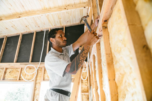 Best Best Insulation Companies  in Winnebago, IL