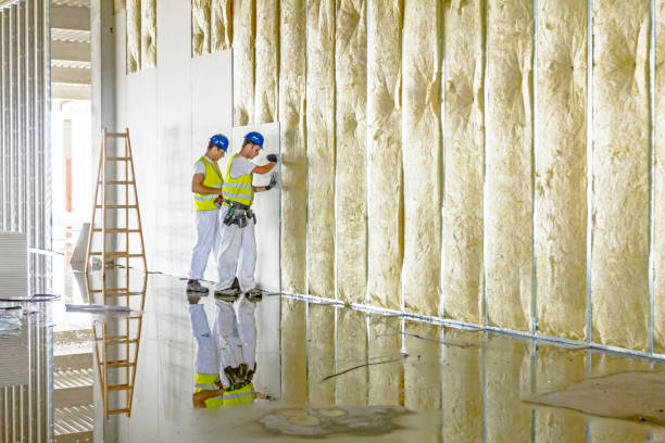 Best Home Insulation Services  in Winnebago, IL